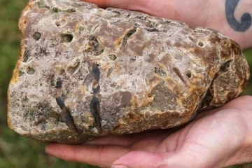 திமிங்கல வாந்தியை ஏன் கோடிக்கணக்கில் விலை கொடுத்து வாங்குகிறார்கள்?