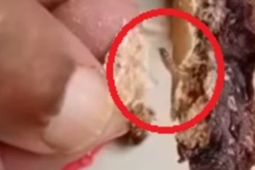 சாக்லேட்டில் நெளியும் புழுக்கள்... இனி யாரும் இந்த பிழையை செய்யாதீர்கள்! அதிர்ச்சி காட்சி