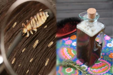 பேன் தொல்லை நிரந்தரமாக நீங்க இயற்கை ஷாம்பு: வீட்டிலேயே தயாரிக்கலாம்