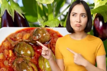 கத்திரிக்காய் பிரியரா நீங்கள்? கட்டாயம் இதையும் தெரிஞ்சிகோங்க