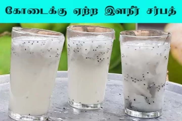 Elaneer Sarbath: கோடை காலத்திற்கு ஏற்ற இளநீர் சர்பத்