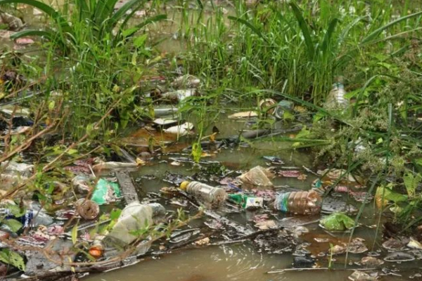 வேகமாக மாசடைந்து வரும் கிளிநொச்சி குளம்: குவியும் முறைப்பாடுகள் | Kilinochchi Pond Getting Polluted Fast Complaints