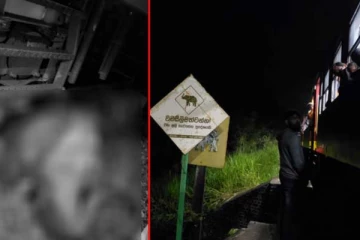 දුම්‍රියක් පීලි පණී..