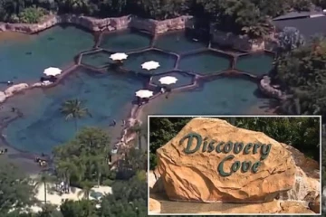 குடும்ப சுற்றுலாவில் பிரித்தானியாவின் 13 வயது சிறுமிக்கு நேர்ந்த சோகம்! விசாரணை தீவிரம்