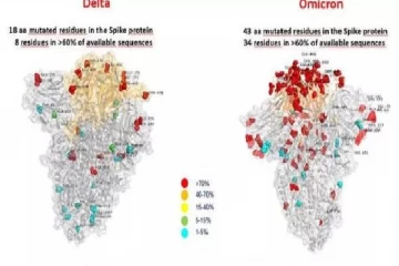 ஒமிக்ரோன் மாறுபாட்டின் முதல் படம் வெளியானது