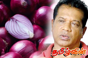 பெரிய வெங்காயத்தின் உள்நாட்டு உற்பத்தியை விட இறக்குமதி லாபகரமானது: அமைச்சர் லால்காந்த