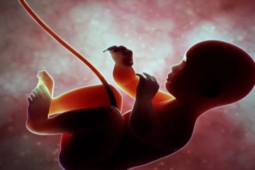 கருவிலிருந்த சிசுவும் கொரோனாவால் உயிரிழப்பு -இலங்கையில் துயர சம்பவம்