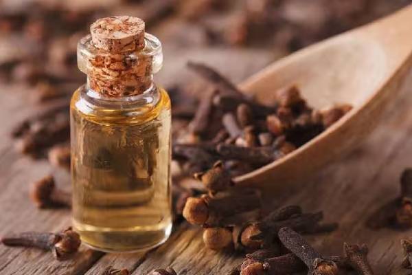 மழைக்காலத்தில் கரையான் தொல்லையா? உடனே தீர்வு தரும் மருந்து | Natural Ways To Kill Termites In Rainy Season