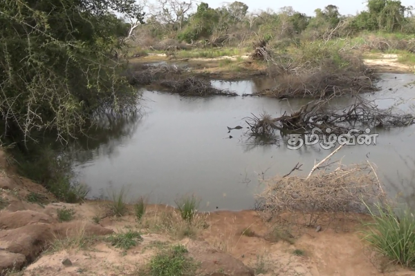 பொலிஸாரின் உதவியில் சட்டவிரோத மணல் அகழ்வு: எழுந்துள்ள குற்றச்சாட்டு | Illegal Sand Mining Allegations Of Public Bodies பொலிஸாரின் உதவியில் சட்டவிரோத மணல் அகழ்வு: எழுந்துள்ள குற்றச்சாட்டு | Illegal Sand Mining Allegations Of Public Bodies