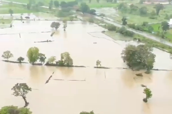 மல்வத்து ஓயா பெருக்கெடுப்பால் பாதிக்கப்பட்ட நெற் செய்கை | Paddy Crops Affected By Malwathu Oya Flooding