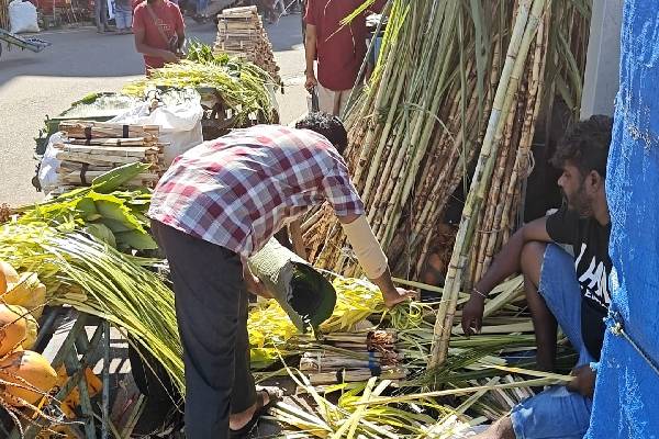 கொழும்பில் களைகட்டும் பொங்கல் வியாபாரம் ; மக்கள் வருகை அதிகரிப்பு | Weed Growing Pongal Business In Colombo Population கொழும்பில் களைகட்டும் பொங்கல் வியாபாரம் ; மக்கள் வருகை அதிகரிப்பு | Weed Growing Pongal Business In Colombo Population