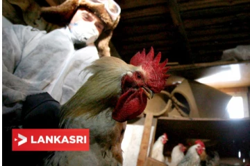 உலகிலேயே முதல் முறையாக மனிதர்களுக்கு பரவிய H5N8 பறவைக் காய்ச்சல்! எந்த நாட்டில் தெரியுமா?