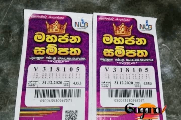 කොටු කැපු­වොත් වැඩ වරදී