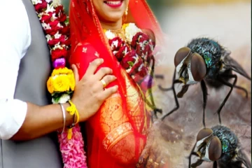இளைஞர்களின் கனவை தவிடுபொடியாக்கிய 'ஈ'க்கள்; ஒரு வருடமாக திருமணம் நடக்காத கிராமம்!