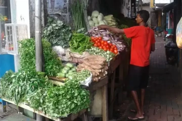 இனி வீதிகளிலும் கொட்டி விற்க அனுமதி!
