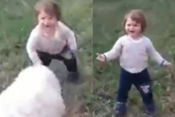 குழந்தையோடு கொஞ்சி விளையாடும் ஆட்டுக்குட்டி! ஒற்றை புன்னகைக்கு கோடி கொடுத்தாலும் ஈடாகுமா?