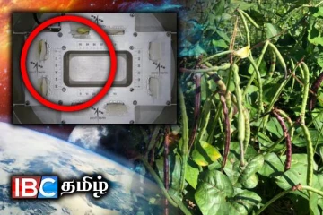 விண்வெளியில் முளைக்க தொடங்கிய பயறு விதைகள்!