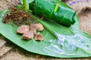 வெற்றிலை பாக்கால் இலங்கையருக்கு ஏற்பட்டுள்ள பாதிப்பு