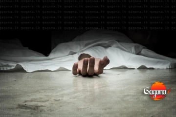 දුර දිග ගිය බහින් බස්වීම මරණයෙන් කෙළවර වෙයි