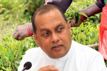 தேயிலைக்கான உரத்தின் விலையில் மாற்றம்