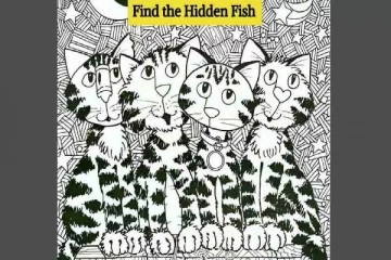 Optical illusion: கழுகு போன்ற கண்பார்வை இருந்தால் இதில் மீனை கண்டுபிடிக்க முடியுமா?