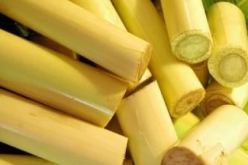 சிறுநீரக கற்களை கரைத்து வெளியேற்றும் வாழைத்தண்டு...பொரியல் செஞ்சி கூட பயன்படுத்தலாம்!