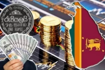 இலங்கை கடும் பாதிப்புகளை எதிர்கொள்ளக்கூடும்: மத்திய வங்கியின் உயர் அதிகாரி தகவல்