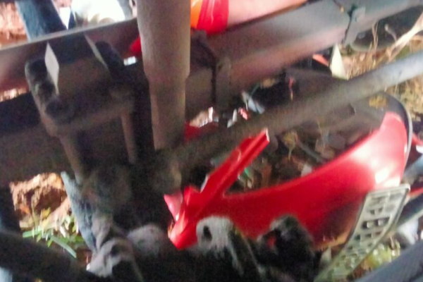 யாழில் இ.போச பேருந்து - மோட்டார் சைக்கிள் மோதி கோரவிபத்து; பெண்ணுக்கு நேர்ந்த கதி | Bus And Motor Bike Fatal Accident In Jaffna