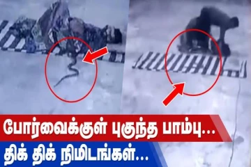 போர்வைக்குள் புகுந்த பாம்பு - திக் திக் நிமிடங்கள்