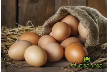 முட்டை விலை குறைகிறது..! நுகர்வோருக்கு வெளியான மகிழ்ச்சி அறிவிப்பு