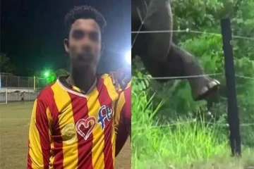 மின்சாரம் தாக்கி இளைஞன் பலி: நீதிமன்றம் பிறப்பித்த உத்தரவு