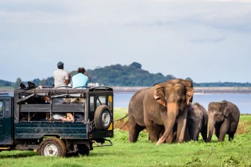 அதிகரிக்கும் சுற்றுலாப்பயணிகளின் எண்ணிக்கை