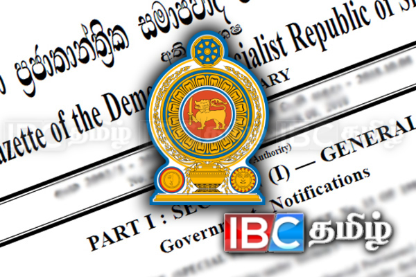 இரவு நேர பணிக்கு அமர்த்தப்படும் பெண்....! வெளியானது அதிவிசேட வர்த்தமானி | New Rules For Night Shift Workers And Payments