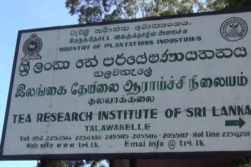 நுவரெலியாவில் சட்டவிரோத மதுபானம் தயாரித்தவர் கைது