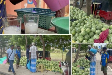 மன்னாரில் தர்பூசணி மற்றும் நொங்கு விற்பனை அமோகம்!