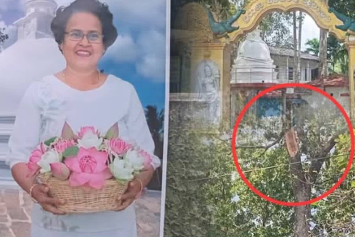 மரக்கிளை முறிந்து விழுந்ததில் பெண் உயிரிழப்பு | Woman Dies After A Branch Of A Tree Falls