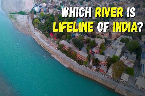 இந்தியாவின் உயிர்நாடி என்று அழைக்கப்படும் நதி எதுன்னு தெரியுமா? என்ன காரணம்? | Which River Is Known As Lifeline Of India And Why இந்தியாவின் உயிர்நாடி என்று அழைக்கப்படும் நதி எதுன்னு தெரியுமா? என்ன காரணம்? | Which River Is Known As Lifeline Of India And Why