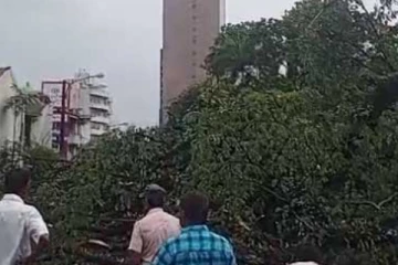 200 வருட பழமையான மரம் வீழ்ந்ததில் போக்குவரத்து பாதிப்பு