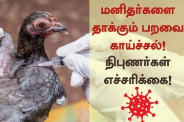 அதி தீவிரமாக பரவும் பறவைக்காய்ச்சல்: தமிழக எல்லையில் கண்காணிப்பு தீவிரம்