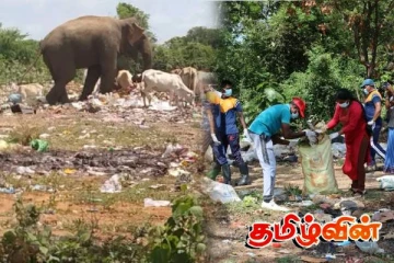 கிளீன் ஸ்ரீலங்கா மூலம் சூழல் பாதுகாக்கப்பட்டதா!