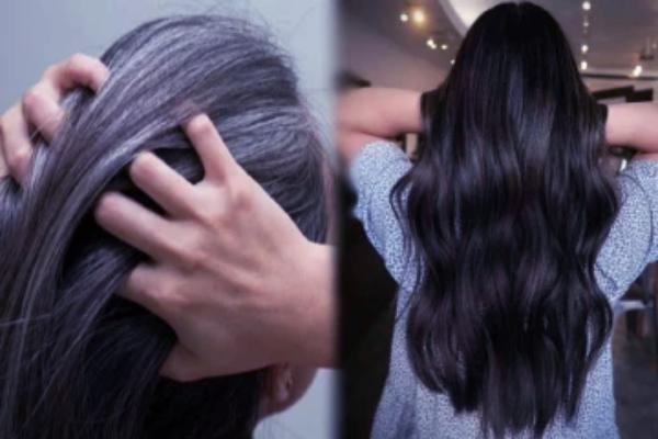 நரைமுடி கருப்பாக மாற - 7 நாட்கள் இதை தொடர்ந்து போடுங்க போதும் | Natural Hair Dye Turn Grey Hair Black Within 7 Day