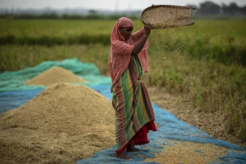 இந்தியா-ரஷ்யாவின் செயலால்...உச்சம் தொடும் உலகளாவிய உணவு பொருட்கள் விலை