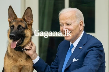 ජෝ බයිඩ්න්ගේ සුරතලා ඒජන්තවරයෙක් සපා කයි.