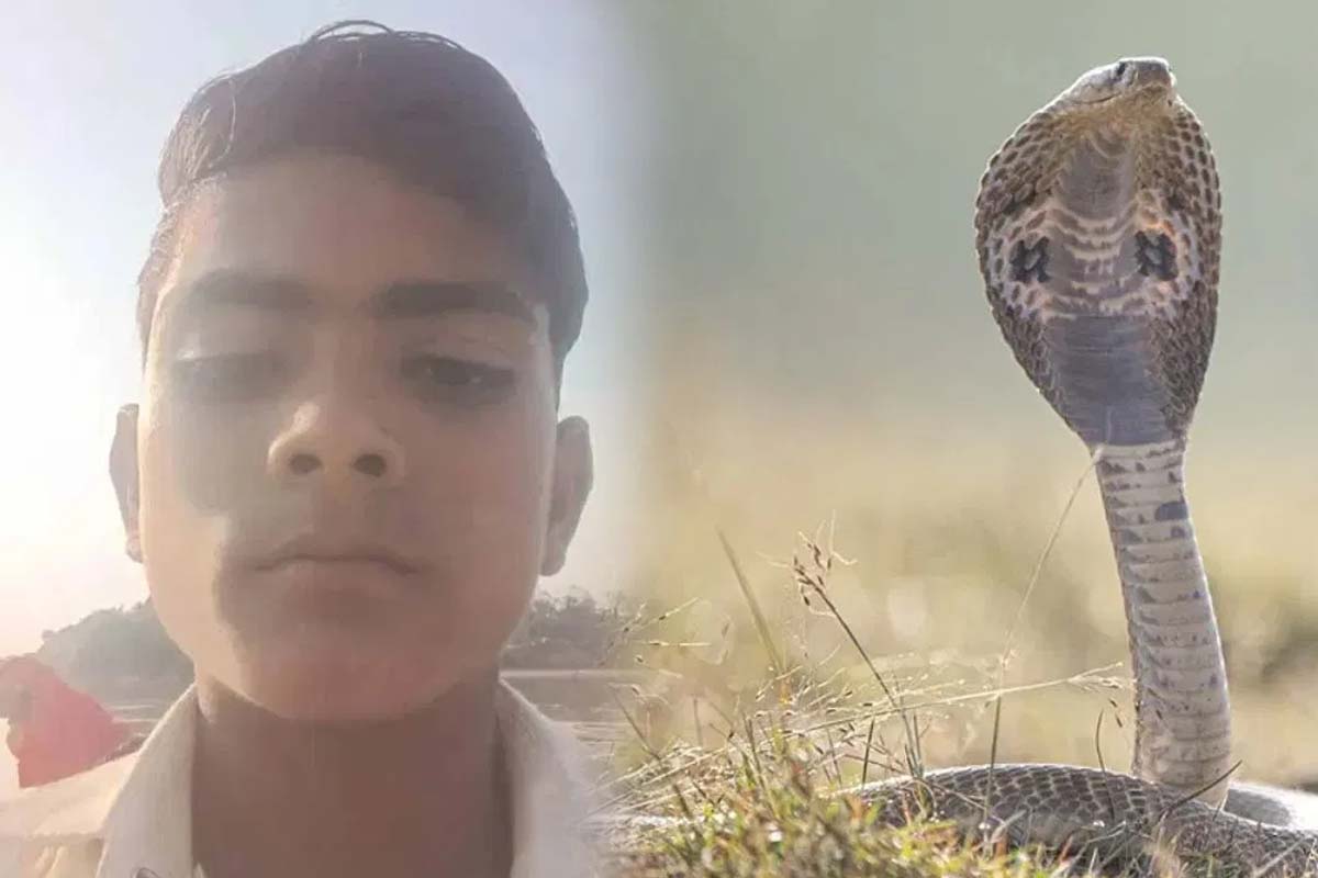 கங்கையில் 12 மணி நேரம் மிதந்த சிறுவன்! உயிர் பிரிவதை வேடிக்கை பார்த்த பெற்றோர்... நடந்தது என்ன? | Boy Floating 12 Hours Ganges Parents Superstition கங்கையில் 12 மணி நேரம் மிதந்த சிறுவன்! உயிர் பிரிவதை வேடிக்கை பார்த்த பெற்றோர்... நடந்தது என்ன? | Boy Floating 12 Hours Ganges Parents Superstition