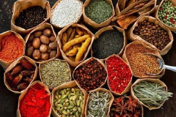 இலங்கைக்கு கிடைத்துள்ள மில்லியன் கணக்கான வருமானம்