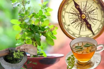 துளசி இலையில் இத்தனை மருத்துவ குணங்கள் இருக்கிறது தெரியுமா?