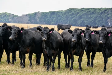 மாடுகளைப் பாதிக்கும் லம்பி நோய்