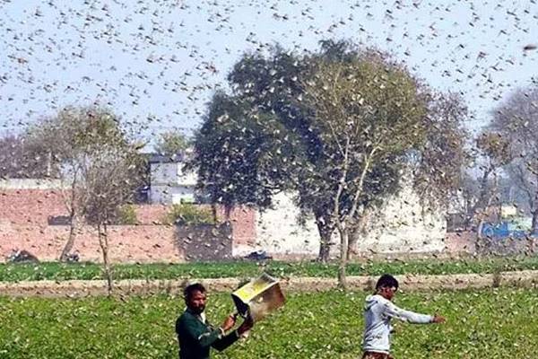 பாபா வாங்காவின் அதிர்ச்சிதரும் கணிப்புக்கள்! 2023 இல் என்ன நடக்கும்? | Baba Vanga S Shocking Predictions