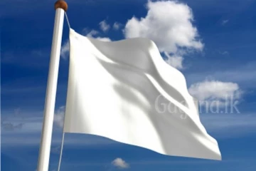 ලොව වේගවත්ම සුපිරි ක්‍රීඩකයා මිය යයි..