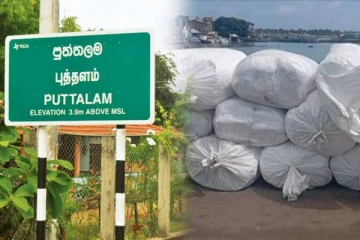 புத்தளத்தில் இரு இடங்களில் பெருமளவான பீடி இலைகள் மீட்பு..!